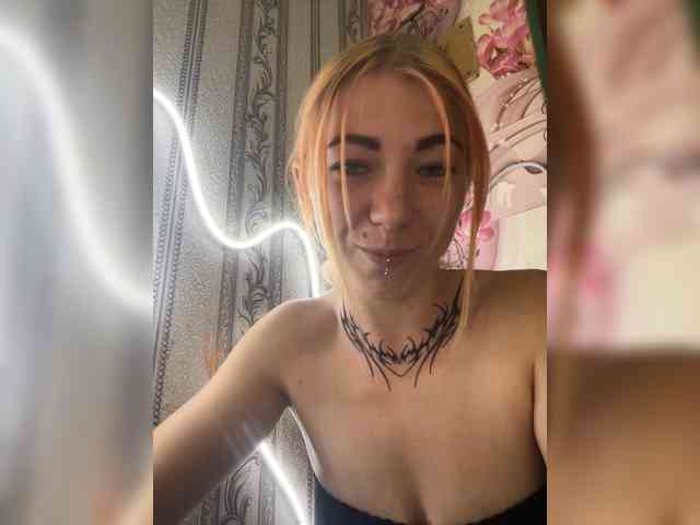 Chanterelle-Fox webcam