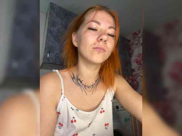 Chanterelle-Fox webcam