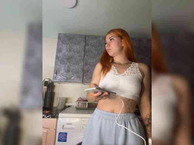 Chanterelle-Fox webcam