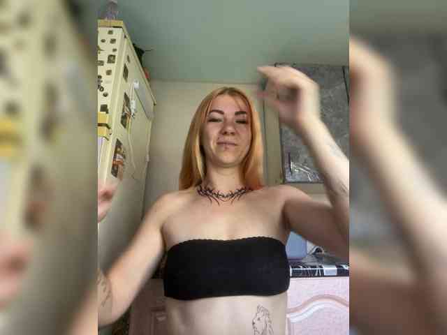 Chanterelle-Fox webcam