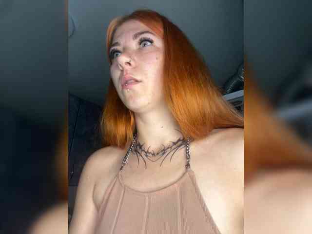 Chanterelle-Fox webcam