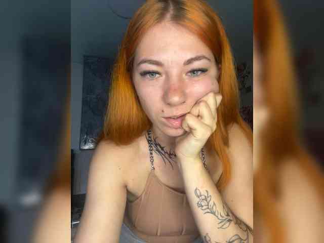 Chanterelle-Fox webcam