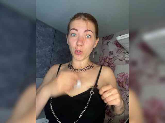 Chanterelle-Fox webcam