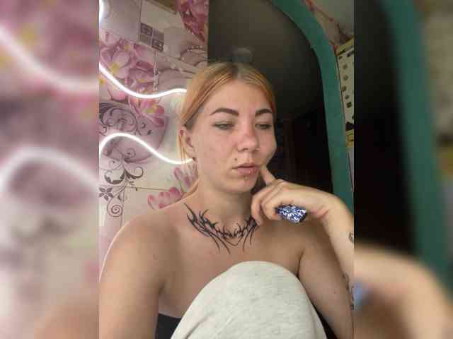 Chanterelle-Fox webcam