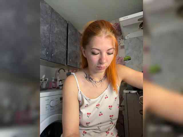 Chanterelle-Fox webcam