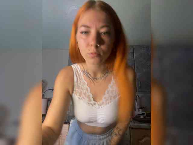 Chanterelle-Fox webcam