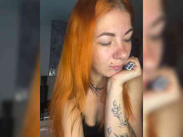 Chanterelle-Fox webcam