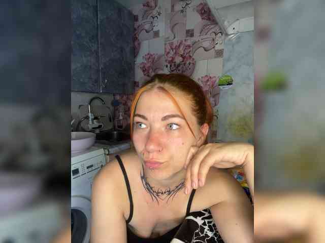 Chanterelle-Fox webcam