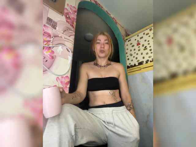 Chanterelle-Fox webcam