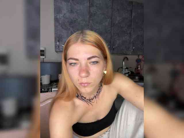 Chanterelle-Fox webcam