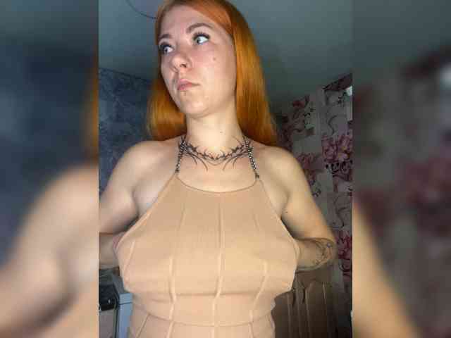 Chanterelle-Fox webcam