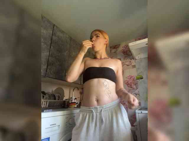 Chanterelle-Fox webcam