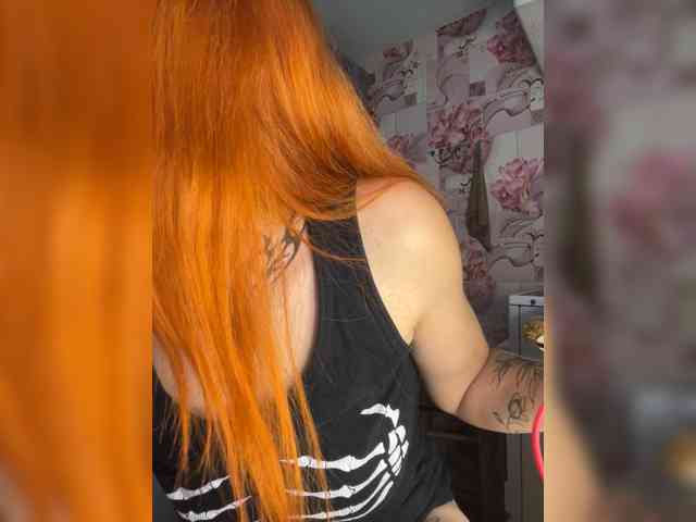 Chanterelle-Fox webcam