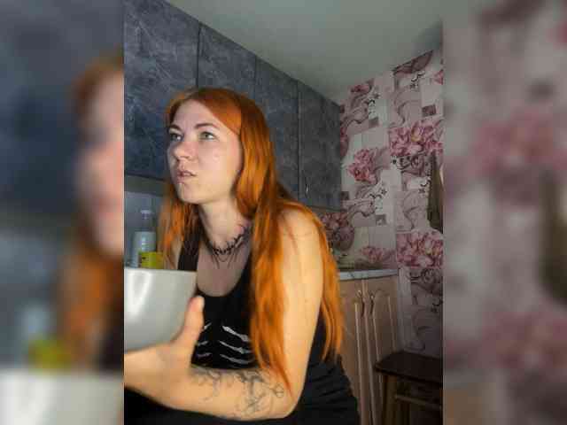 Chanterelle-Fox webcam