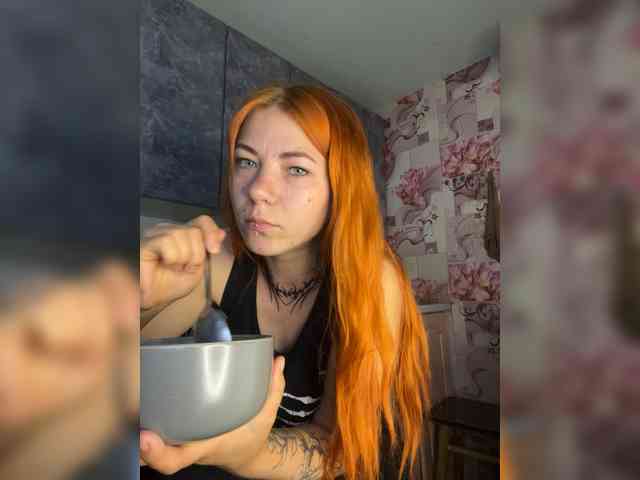 Chanterelle-Fox webcam