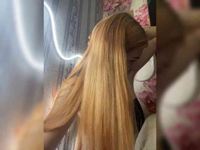 Chanterelle-Fox webcam