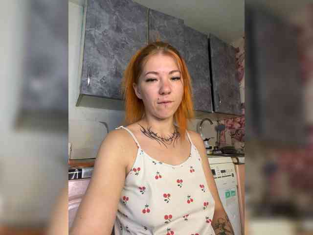 Chanterelle-Fox webcam