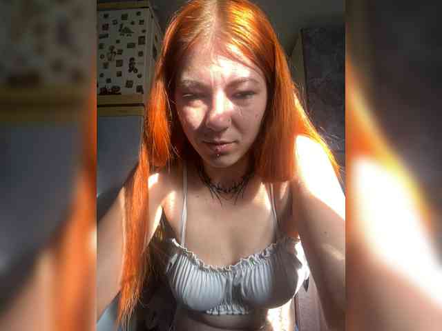 Chanterelle-Fox webcam