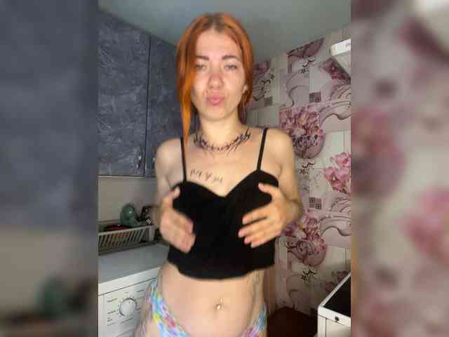 Chanterelle-Fox webcam