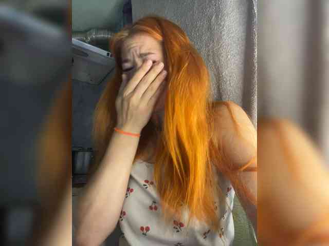 Chanterelle-Fox webcam