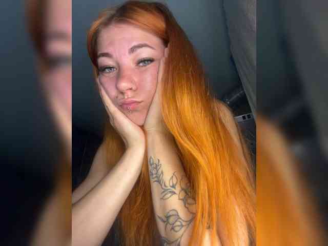 Chanterelle-Fox webcam