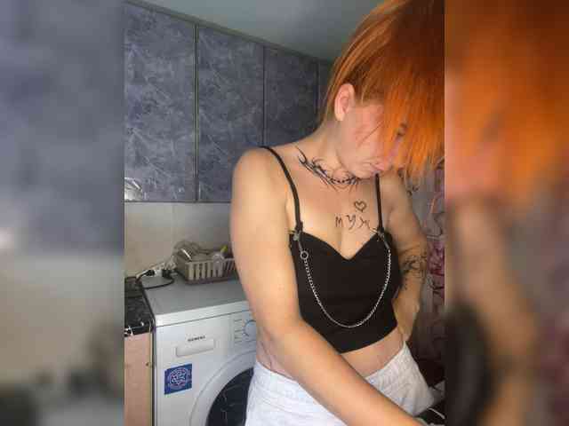 Chanterelle-Fox webcam