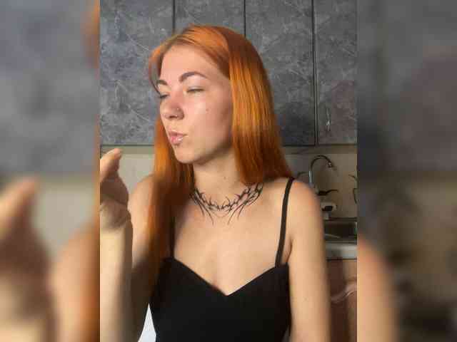 Chanterelle-Fox webcam