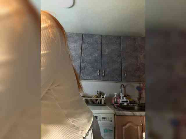 Chanterelle-Fox webcam