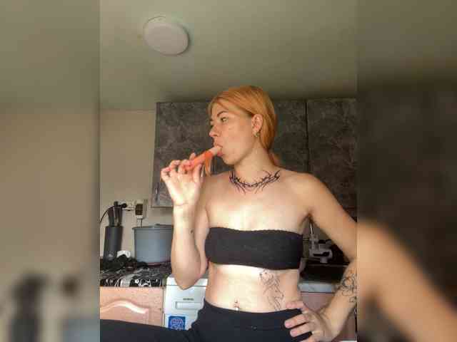 Chanterelle-Fox webcam