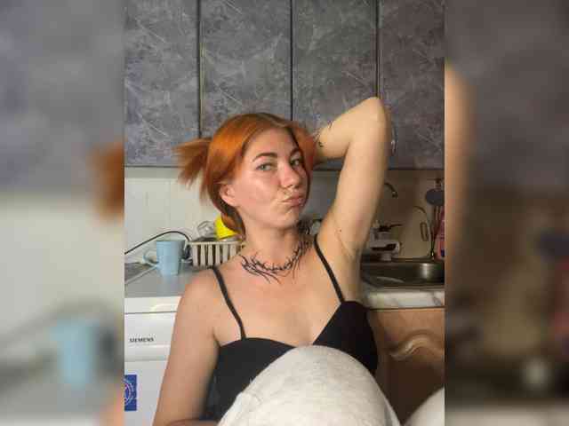 Chanterelle-Fox webcam