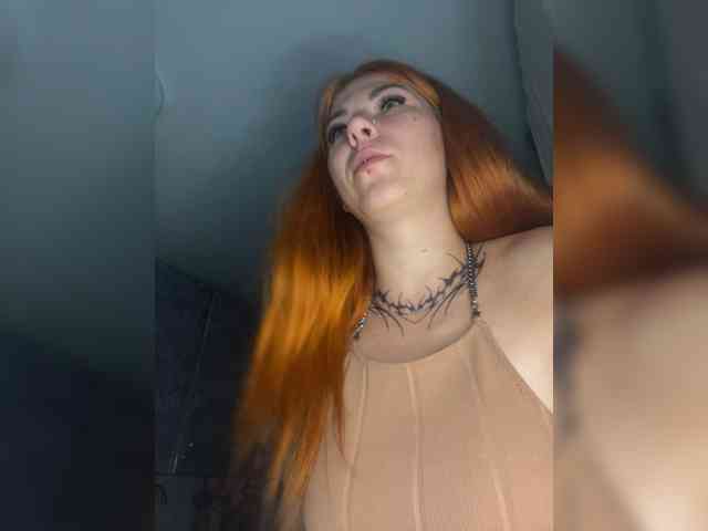 Chanterelle-Fox webcam