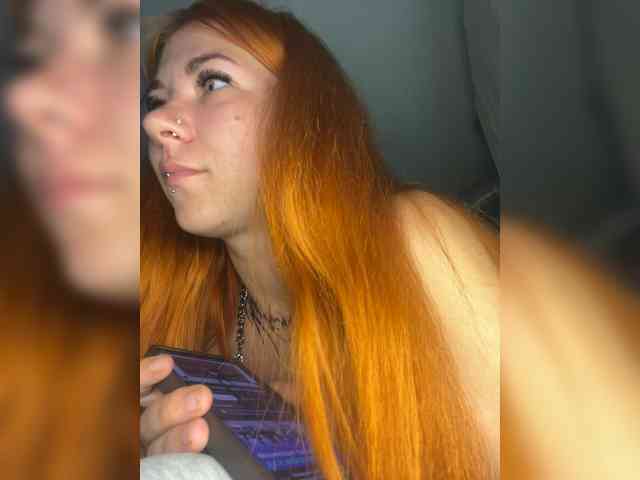 Chanterelle-Fox webcam