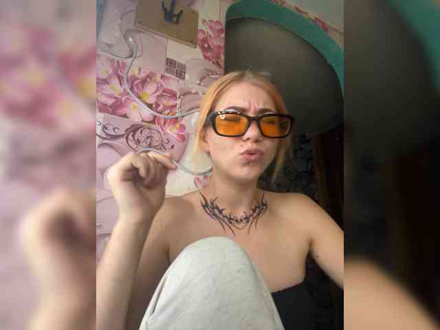 Chanterelle-Fox webcam