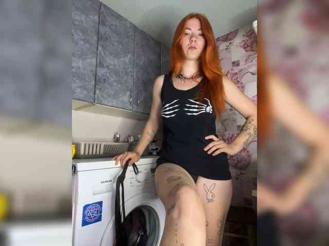 Chanterelle-Fox webcam