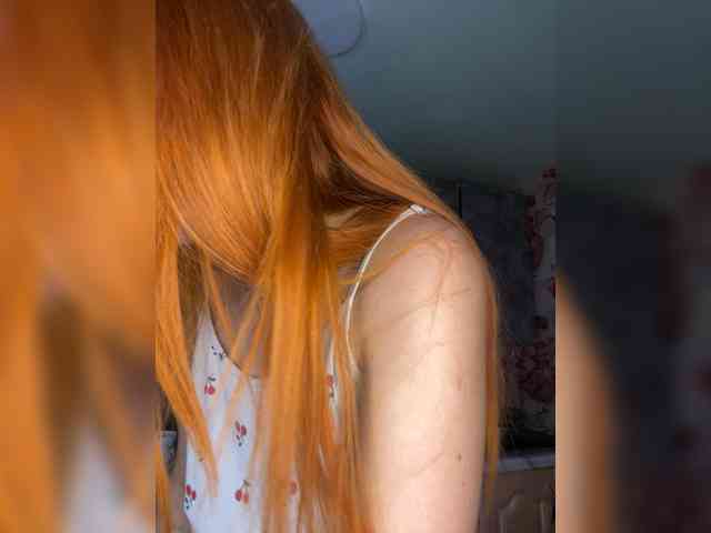 Chanterelle-Fox webcam