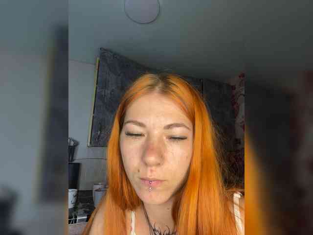 Chanterelle-Fox webcam