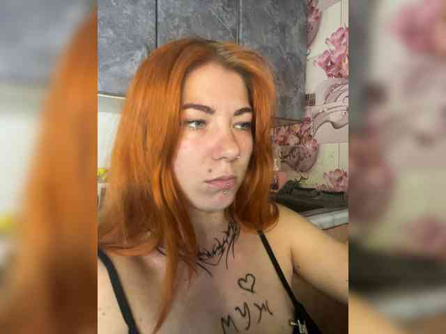 Chanterelle-Fox webcam