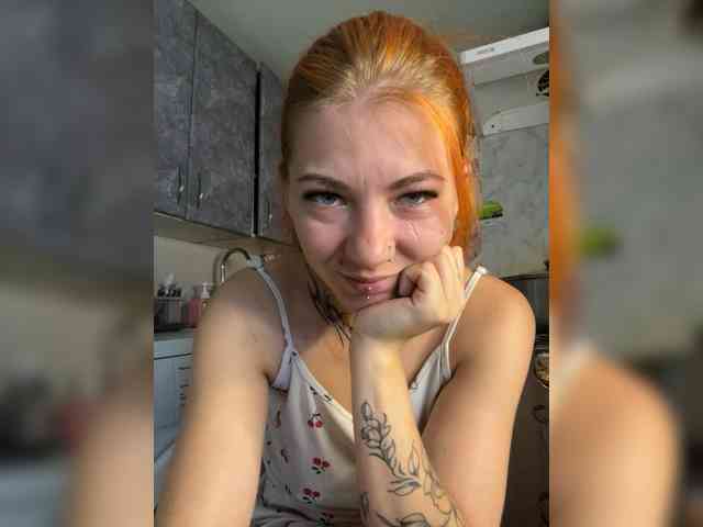 Chanterelle-Fox webcam