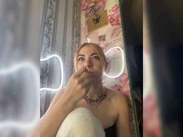 Chanterelle-Fox webcam