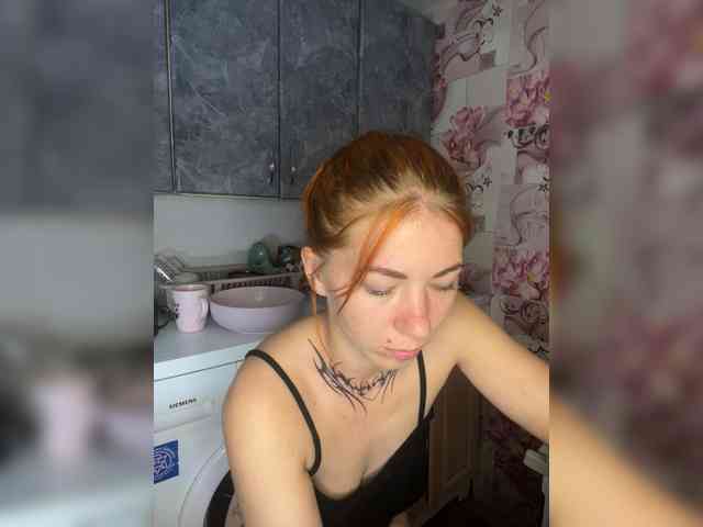 Chanterelle-Fox webcam