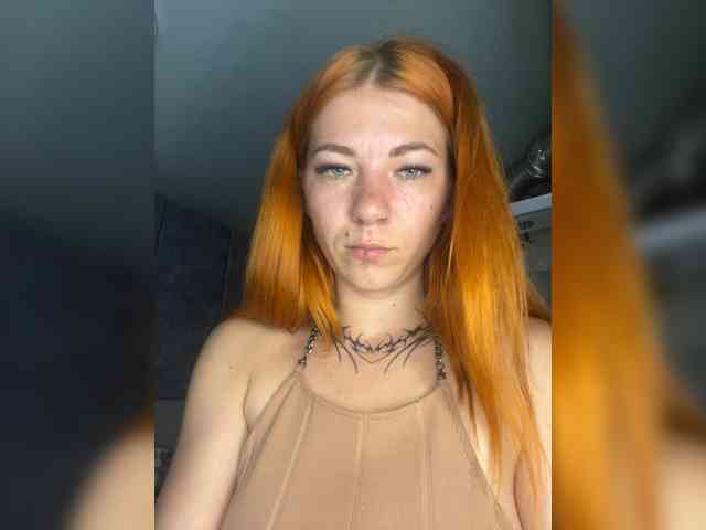 Chanterelle-Fox webcam