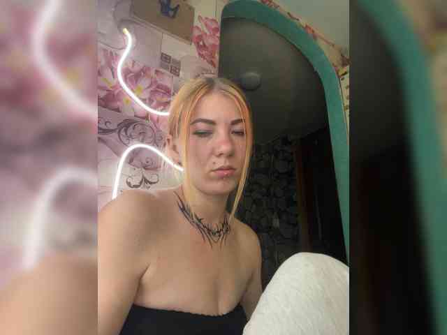 Chanterelle-Fox webcam