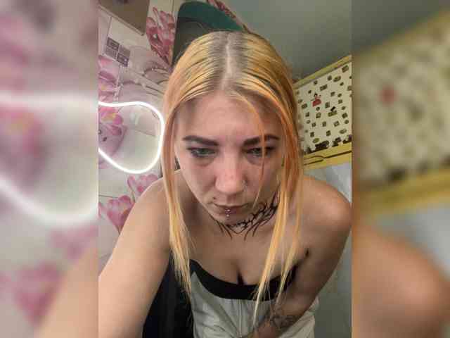 Chanterelle-Fox webcam