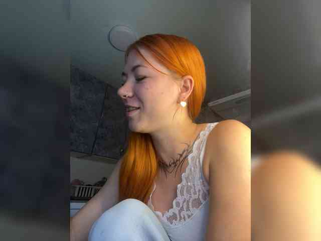 Chanterelle-Fox webcam