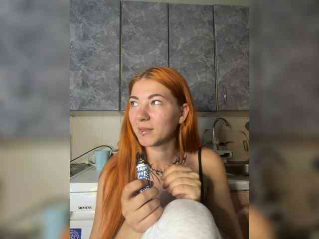 Chanterelle-Fox webcam