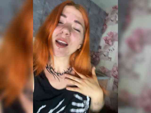 Chanterelle-Fox webcam