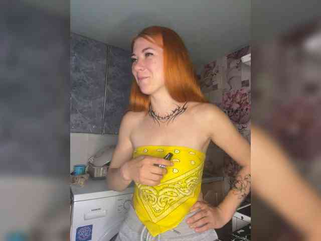 Chanterelle-Fox webcam