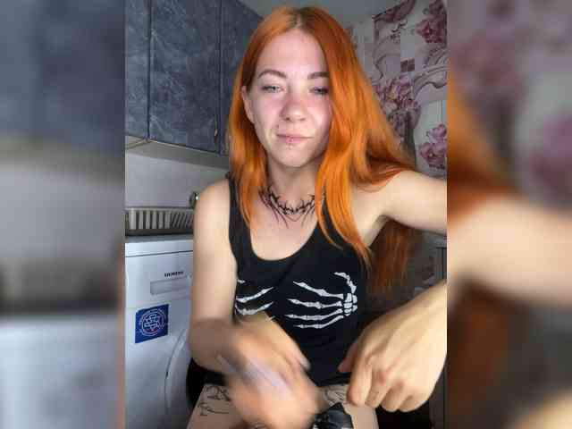 Chanterelle-Fox webcam