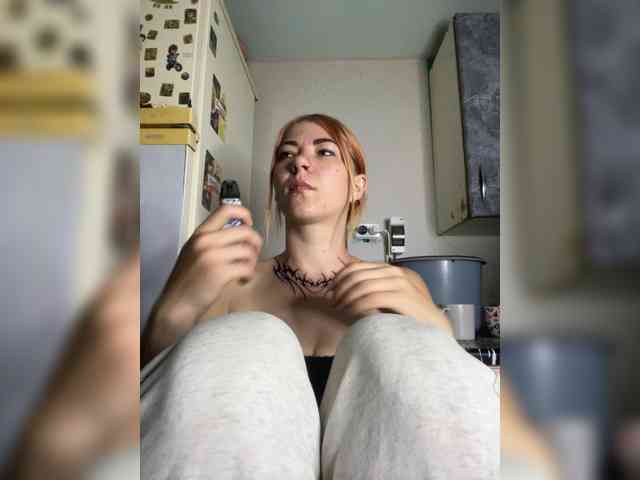 Chanterelle-Fox webcam