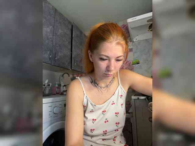 Chanterelle-Fox webcam